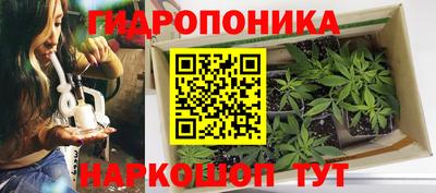 СК Шебекино