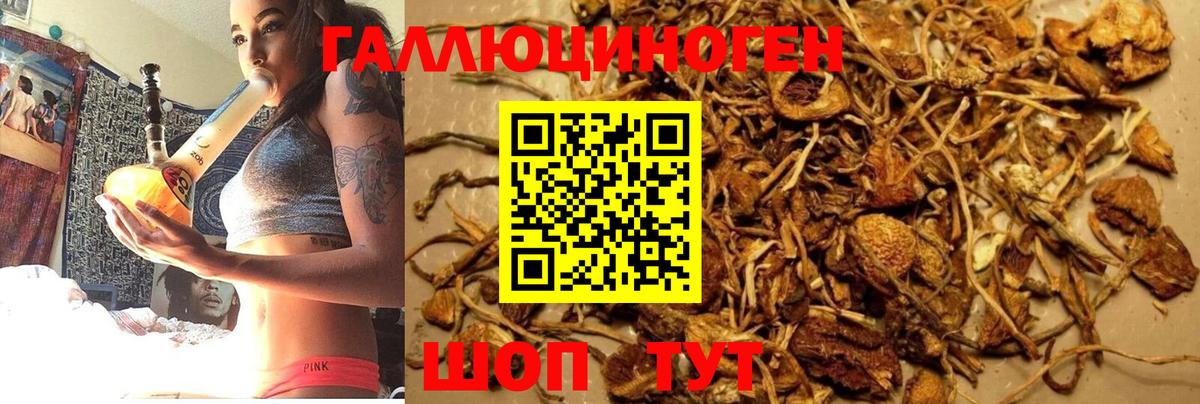 Казань  Галлюциногенные грибы Magic Shrooms  где купить наркоту  Вход с VPN  Галлюциногенные грибы Psilocybe 
